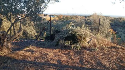 Rustic Finca in Villanueva de La Vera photo 45