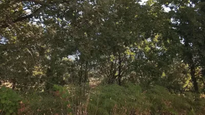 Rustic finca in Madrigal de La Vera photo 8