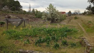 Rustic Finca in Villanueva de La Vera photo 39