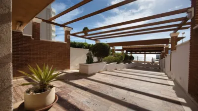 Apartamento en Playa del Arenal Bol-Playa del Cantal Roig photo 36