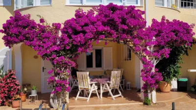 Casa – Calpe - Calp - Vista 3