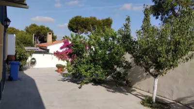 Chalet in Chiva photo 13