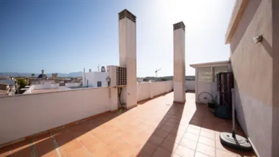 Apartment in Villafranqueza photo 24