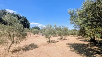 Chalet in Villanueva de La Vera photo 43