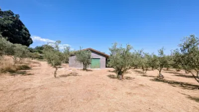 Chalet in Villanueva de La Vera photo 88