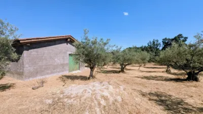Chalet in Villanueva de La Vera photo 53