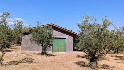 Chalet in Villanueva de La Vera photo 4