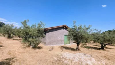 Chalet in Villanueva de La Vera photo 61
