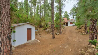 Chalet in Icod de los Vinos photo 28