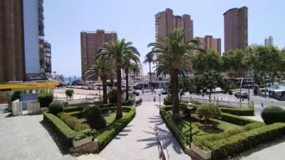 Pis – Benidorm - Vista 2