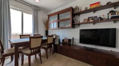 Apartment in San Antonio photo 3