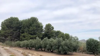 Casa – Villena, Las Virtudes - Vista 4