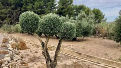 Casa – Villena, Las Virtudes - Vista 3
