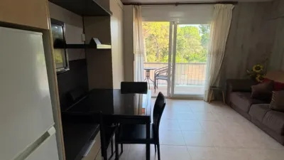 Apartment in Els Masos de Pals photo 12