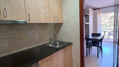 Apartment in Els Masos de Pals photo 5
