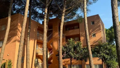Apartment in Els Masos de Pals photo 2