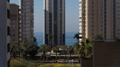Apartment in Las Adelfas-Benicolada-Garduix photo 20