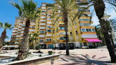 Apartment in Algarrobo photo 75