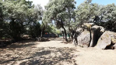 Chalet en Colmenarejo photo 18