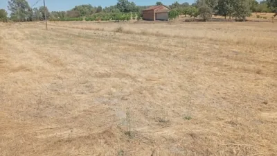 Rustic farm in Villanueva de La Vera photo 25