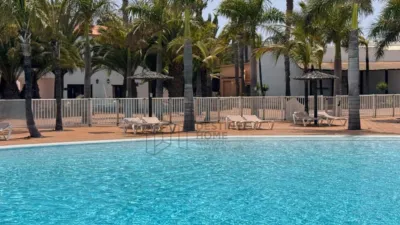 Apartment in Corralejo photo 3