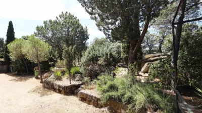 Chalet en Colmenarejo photo 24