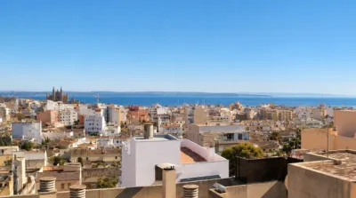 Apartment in Son Espanyolet photo 27