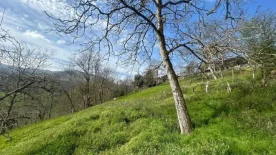 Rustic farm in Cabielles photo 2