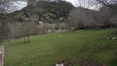Rustic farm in Canales (Cabrales) photo 2