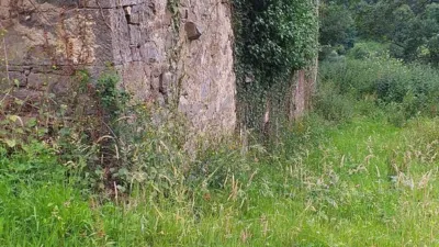 Finca rústica en venta en Carangas (Ponga), Carangas (Ponga) de 350.000 €