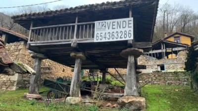 Property for sale in Amieva photo 8