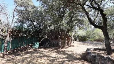 Chalet en Colmenarejo photo 14