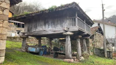 Property for sale in Amieva photo 4
