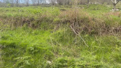 Rustic farm in Gamonedo de Cangas photo 5