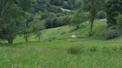 Finca rústica en venta en Carangas (Ponga), Carangas (Ponga) de 350.000 €