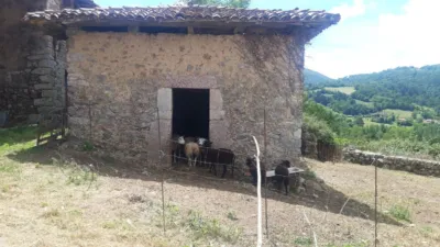 Rustic Finca in Caldevilla photo 2