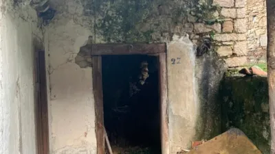 Property for sale in Amieva photo 6