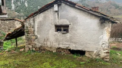 Property for sale in Amieva photo 7