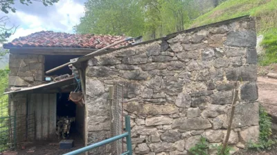 Rustic farm in Gamonedo de Cangas photo 6