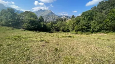 Rustic farm in Santoveña (Amieva) photo 4
