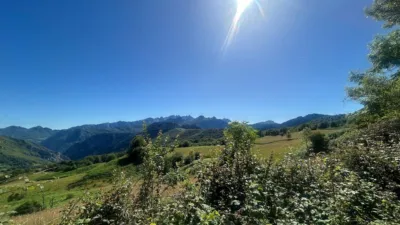 House in Casielles de Ponga photo 2