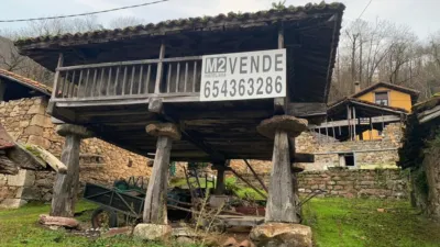 Property for sale in Amieva photo 9