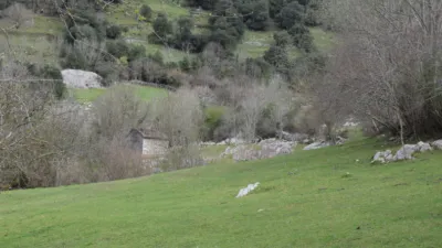 Rustic farm in Canales (Cabrales) photo 7