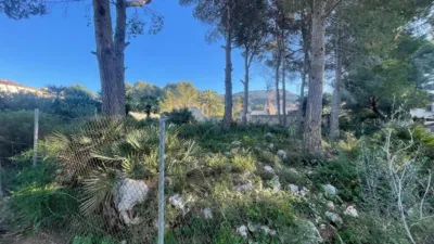 Terreno en venta en La Pedrera-Vessanes - Vista 4