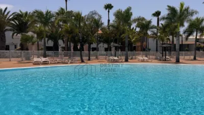 Apartment in Corralejo photo 5