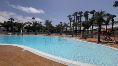Apartment in Corralejo photo 2