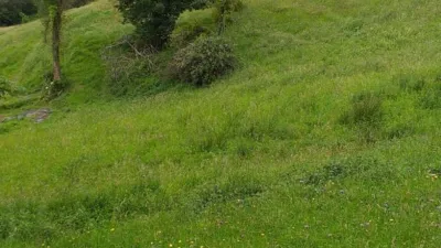 Finca rústica en venta en Carangas (Ponga), Carangas (Ponga) de 350.000 €