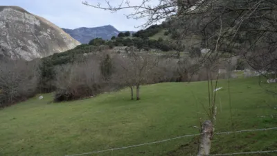 Rustic farm in Canales (Cabrales) photo 6