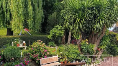 Chalet in Bedia photo 32