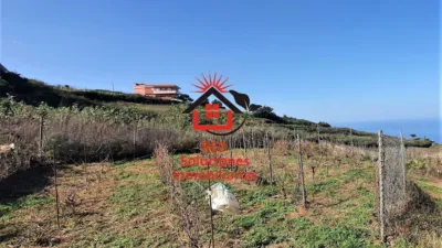 Rustic Finca in Tacoronte photo 4